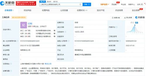 螞蟻集團(tuán)上海新設(shè)企管咨詢公司，信息系統(tǒng)集成服務(wù)成亮點(diǎn)